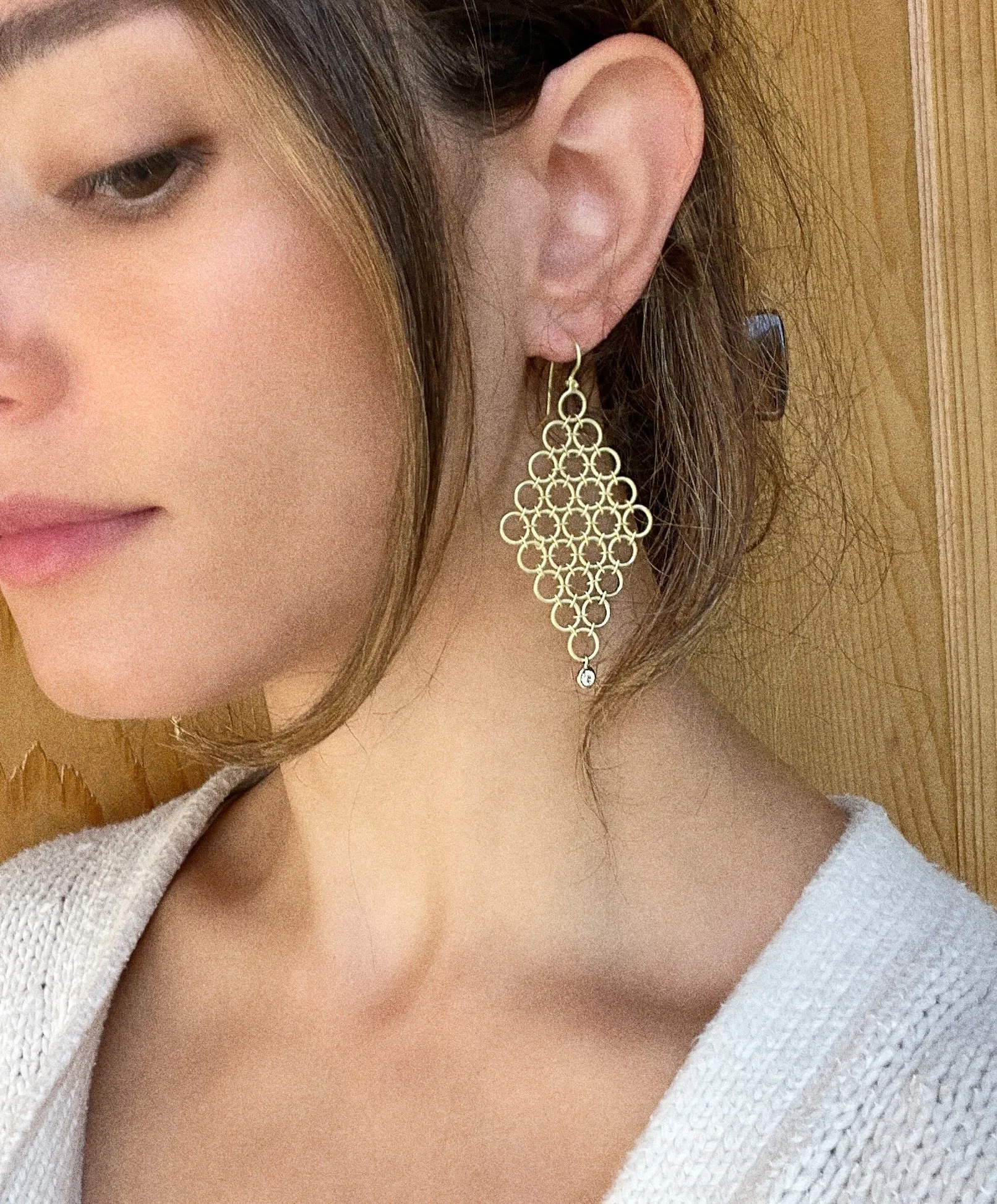 18 Karat Gold Diamond Mesh Earrings
