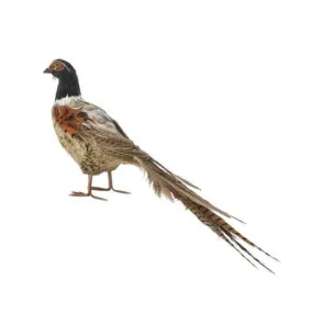 20" Feather Pheasant W/ Tail