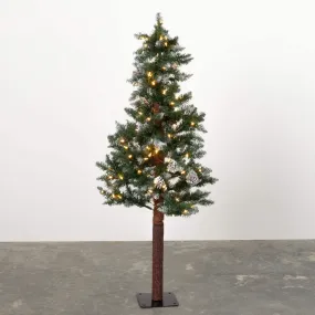 4' Lighted Natural Bark Tree