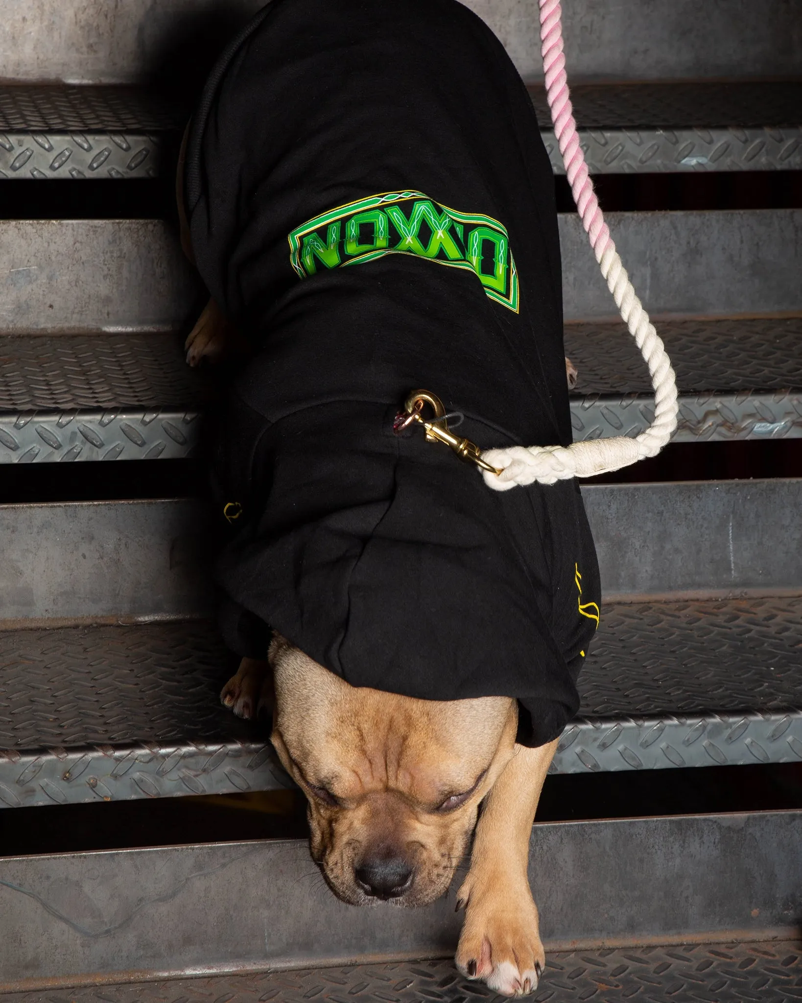 Dog Hoodie - Perro Pinstripe
