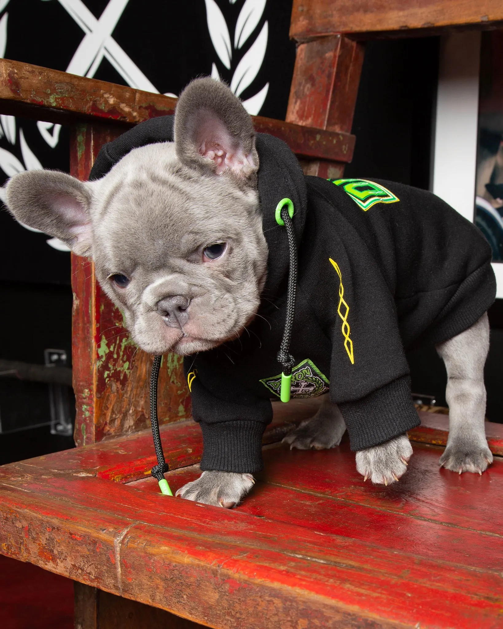 Dog Hoodie - Perro Pinstripe