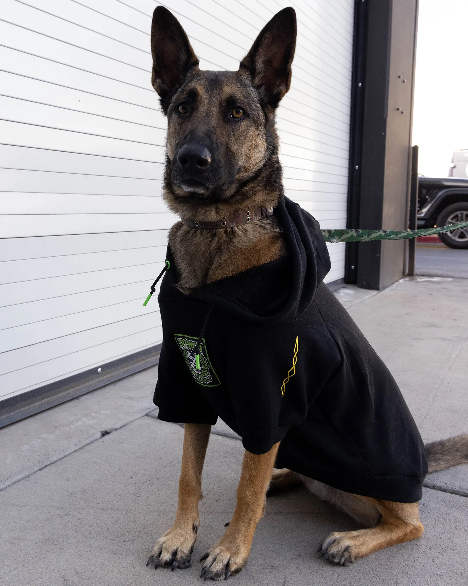 Dog Hoodie - Perro Pinstripe