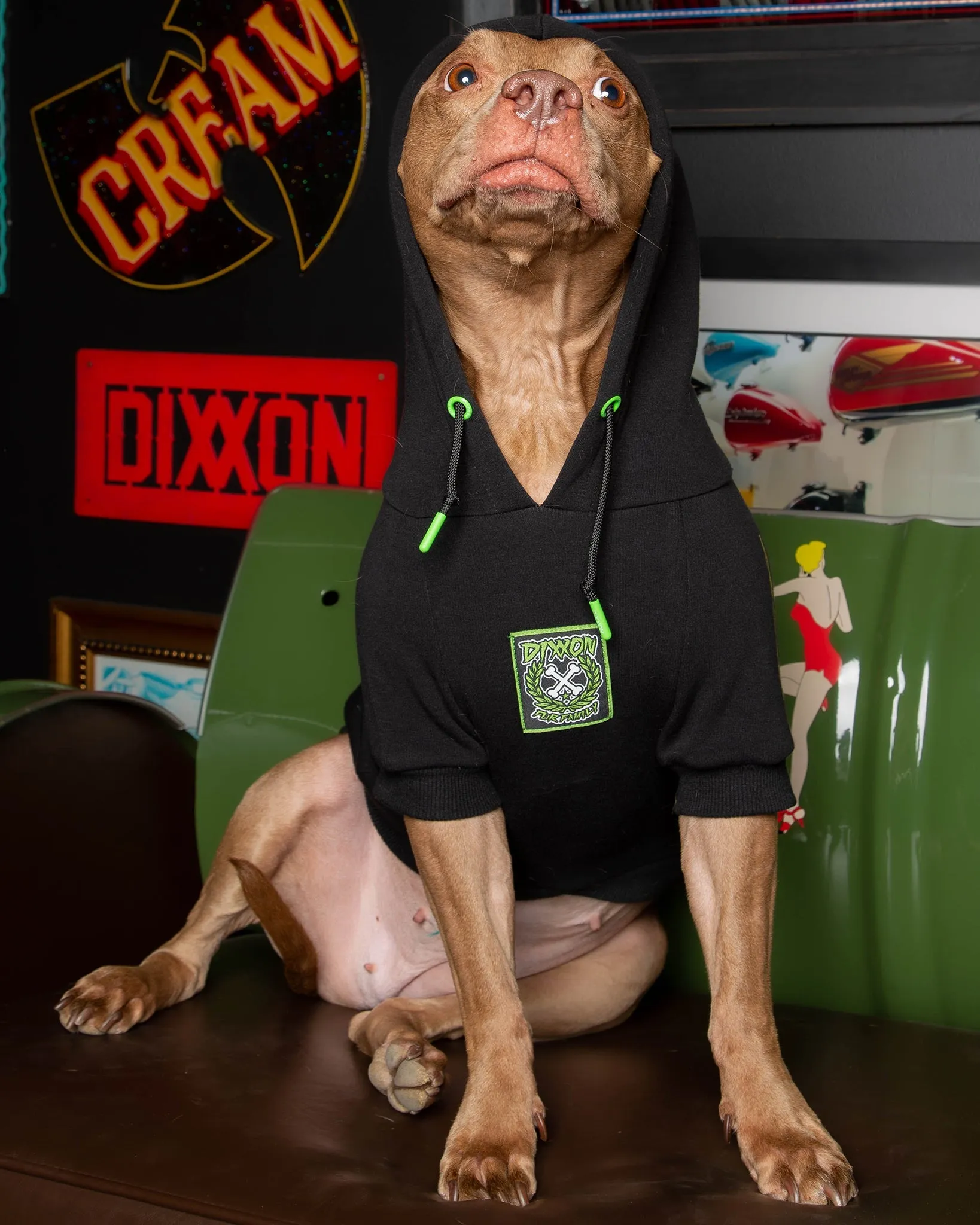 Dog Hoodie - Perro Pinstripe