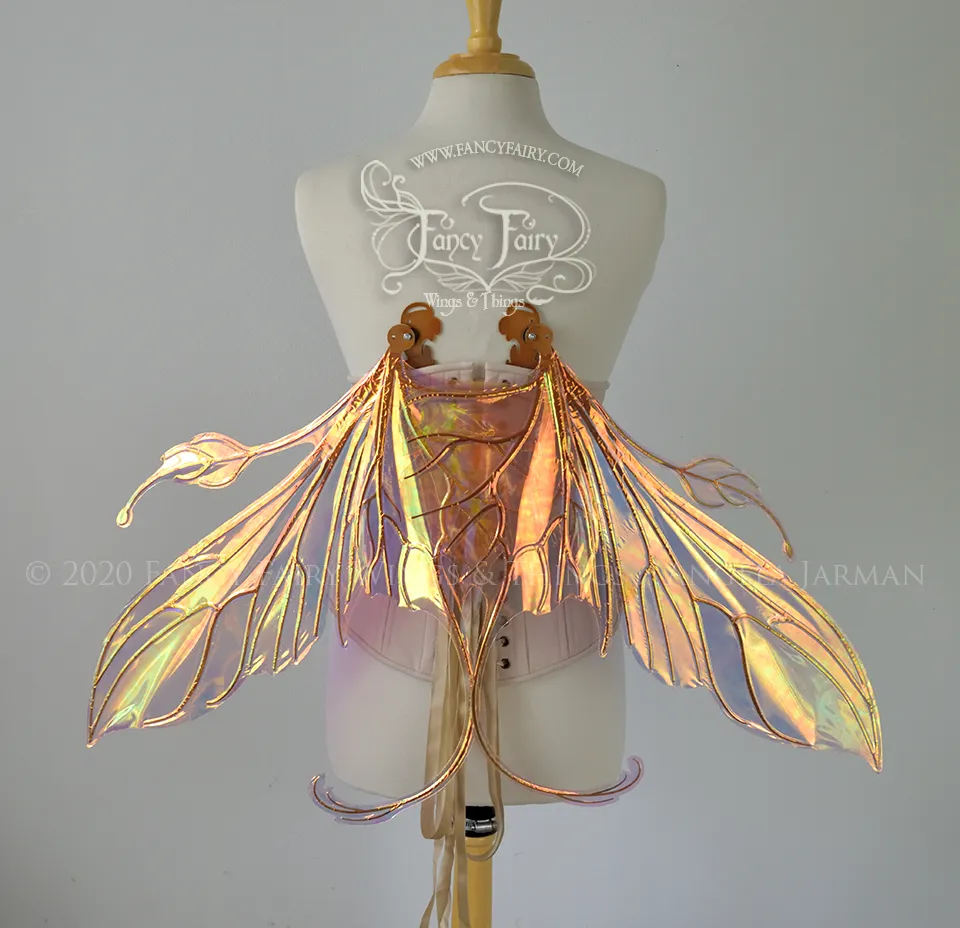 Elvina Iridescent Convertible Fairy Wings in Spiked Punch with Copper veins