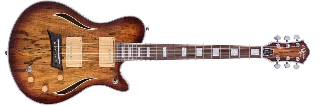 Hybrid Special