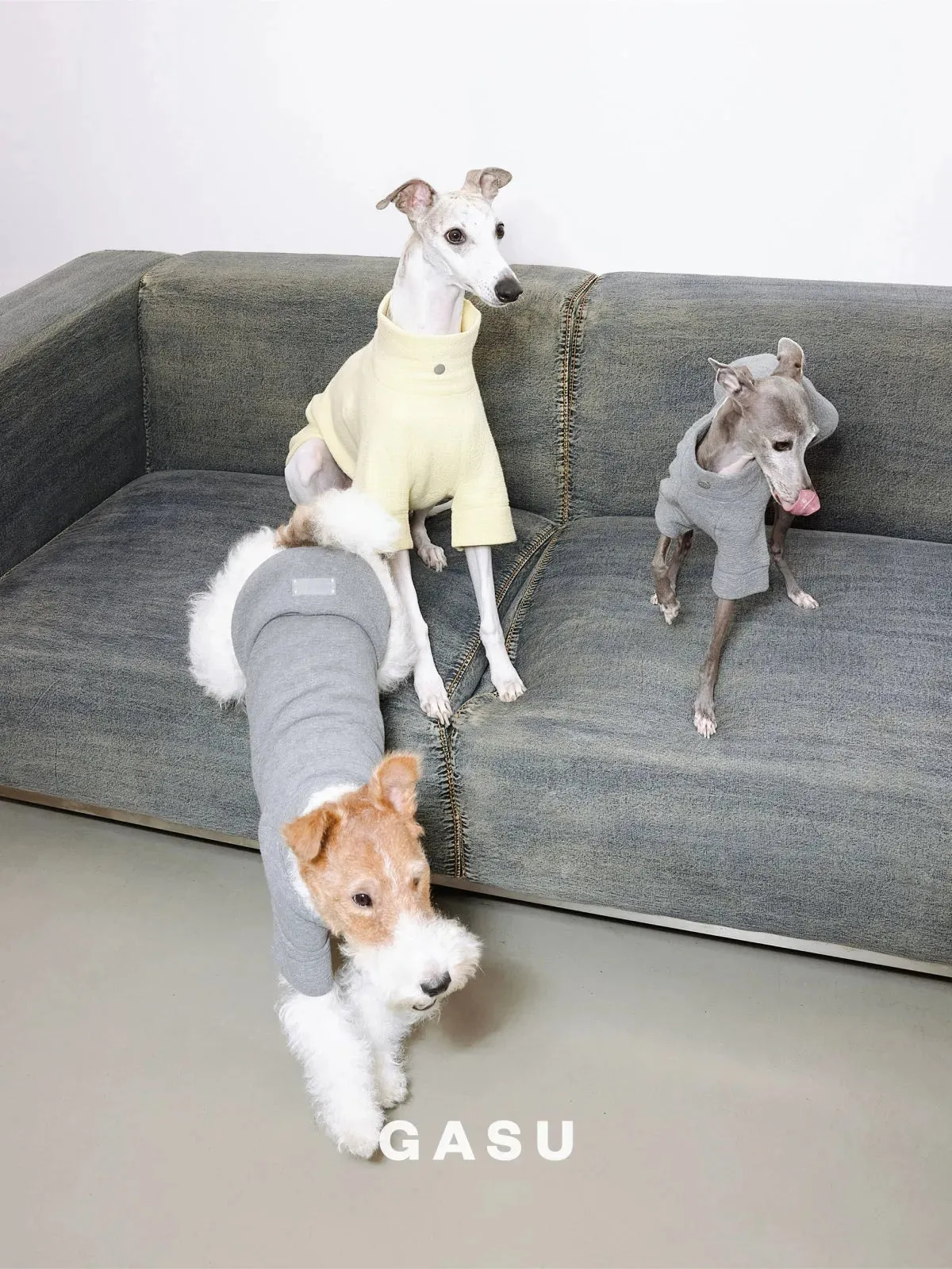 Jacquard Woven Cotton 2-Leg Dog Pullover