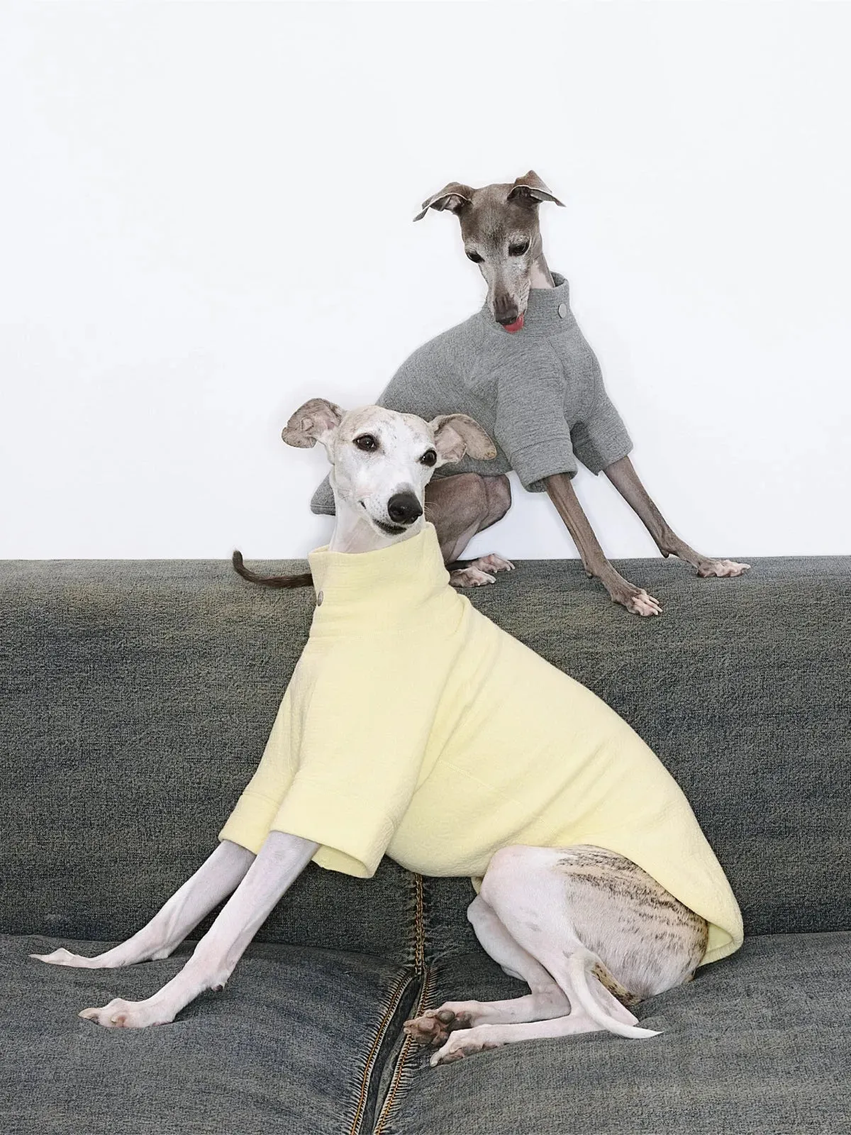 Jacquard Woven Cotton 2-Leg Dog Pullover