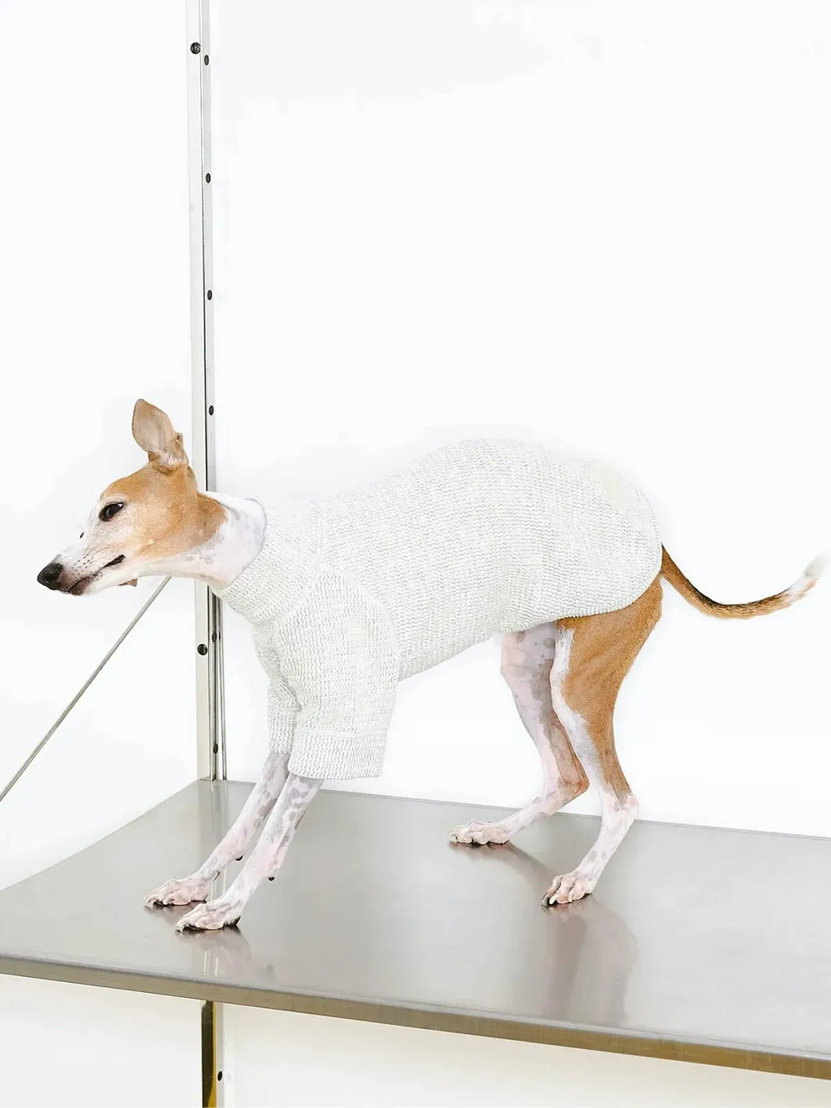 Jacquard Woven Cotton 2-Leg Dog Pullover