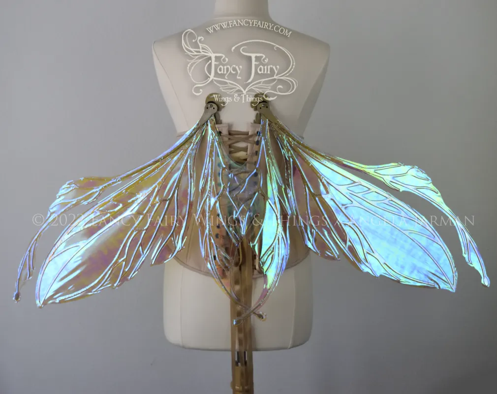 Made to Order Datura Iridescent Convertible Fairy Wings in Your Color with Gold Veins
