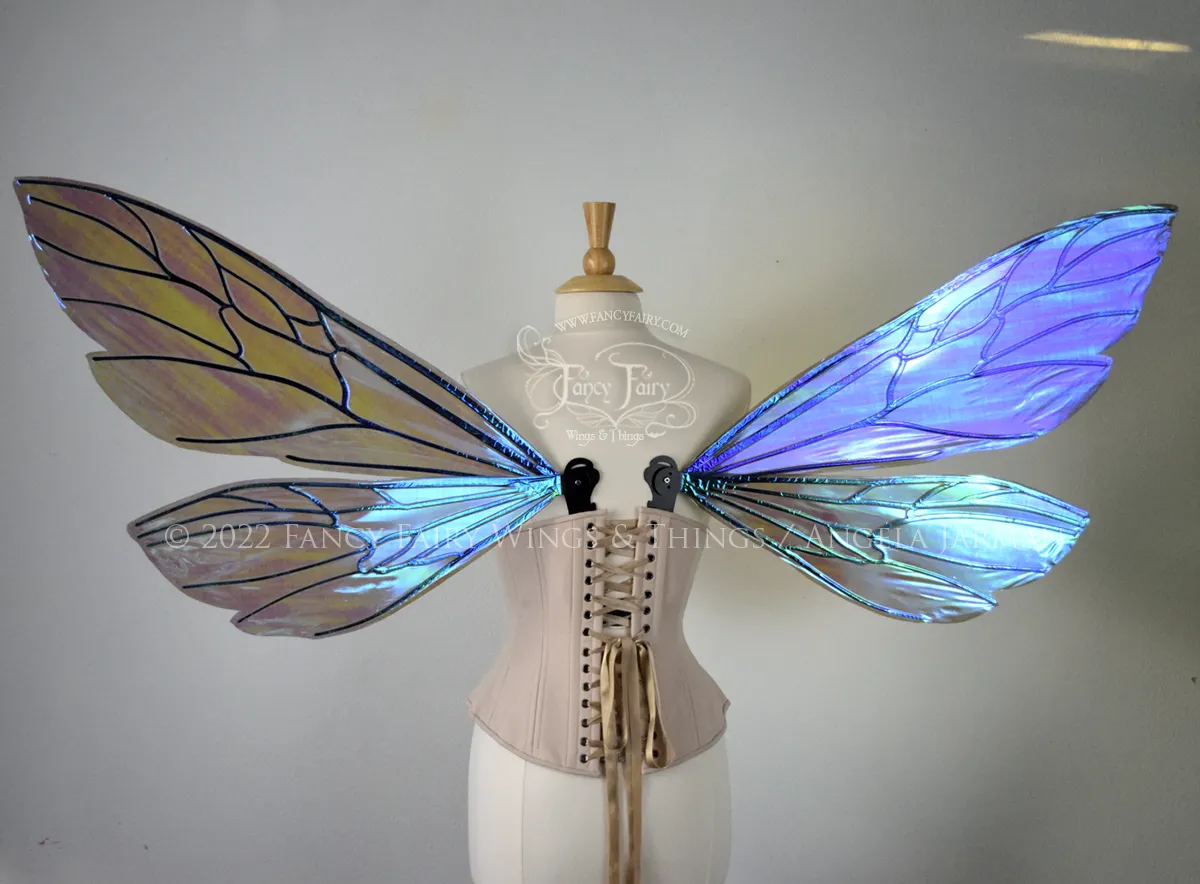 Made to Order Extra Large Ellette Iridescent Convertible Fairy Wings in Your Color with GOLD veins